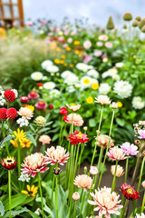 Fototapeta premium Old vintage postcard with various flowers in a flowerbed near the house