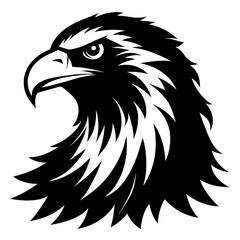 eagle head isolated on white