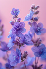 A pale lavender background adorned with gentle violets along the borders, creating a soft and soothing effect,