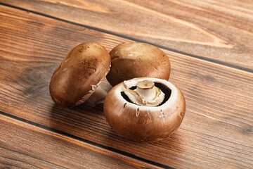 Raw brown champignon for cooking
