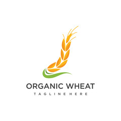 Vector rice logo farm wheat logo design vector wheat rice icon template illustration