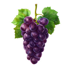 Fototapeta premium Fresh purple grape bunch with vibrant green leaves, perfect for health, diet, and wine imagery. High-resolution stock photo.