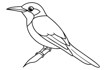 bee eater bird line art silhouette vector illustration