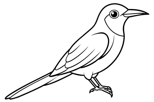 recommend clip art: bee eater bird line art silhouette vector illustration