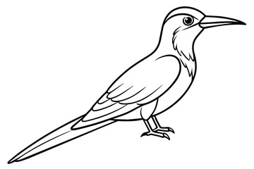 hummingbird line art silhouette vector illustration