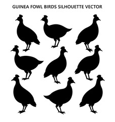 Guinea fowl birds Silhouette Vector