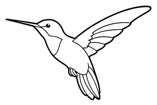 recommend clip art: hummingbird line art silhouette vector illustration