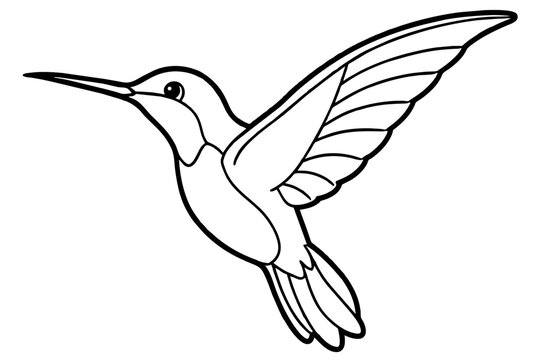 recommend clip art: hummingbird line art silhouette vector illustration