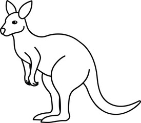 kangaroo illustration line art