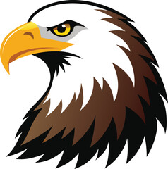 bald eagle illustration