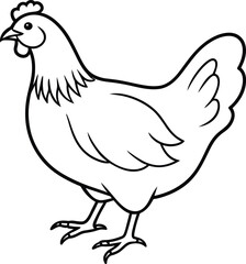 hen on white