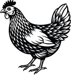 hen and chicken vector art
