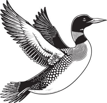 recommend clip art: loon silhouette vector illustration, Loon silhouette vector art illustration with white background