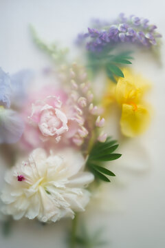 Large fresh flowers of different colors on a light background in a soft blur filter. Abstract floral background