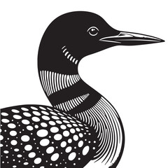 loon silhouette vector illustration, Loon silhouette vector art illustration with white background