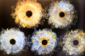 Abstract patterns and shapes. Abstract natural background.