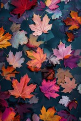 Fototapeta premium Ultra-sharp photo capturing the vibrant hues of colorful fall leaves floating in a pond lake water