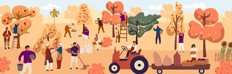 Happy people harvesting in an orchard or on a farm. Autumn harvest, seasonal agricultural work. Flat  colourful vector illustration.