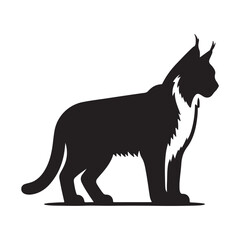 Bobcat vector art illustration