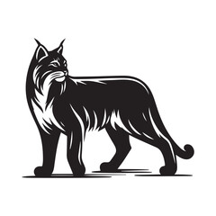 Bobcat vector art illustration