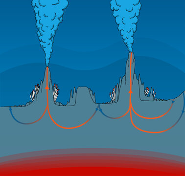 Illustration of hydrothermal vent chimney model