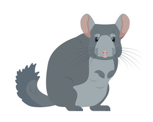 Chinchilla animal icon. Cute gray fluffy pet. Rodent animal. Vector illustration isolated on white background.