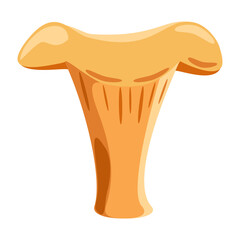 Mushroom golden chanterelle in flat technique, vector illustration 