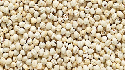 Close-up texture of dried millet grains background