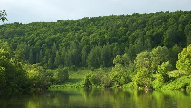 The river in summer, the contrasting sun, bright colors. Hills and trees are reflected in the calm water.