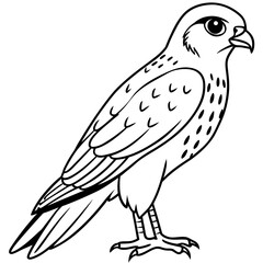 sketch of a bird