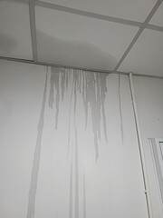 Water is leaking from drywall ceiling in home room, water damage. Water dripping from crack.
