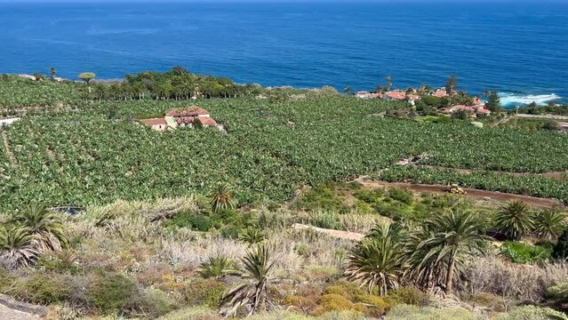 Panoramica con fincas y plantaciones en la costa de Los Realejos en el norte de Tenerife, Canarias
