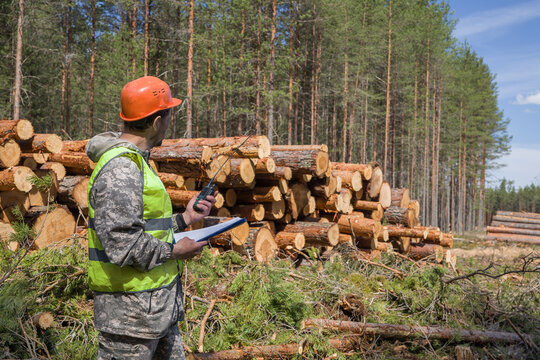 A forest engineer works at a cutting site with a walkie-talkie in his hand.