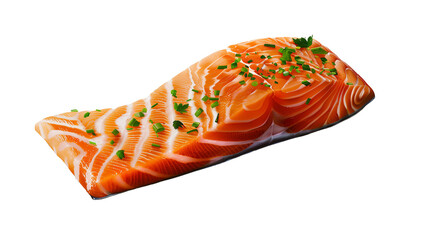 A piece of salmon