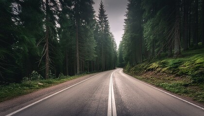 Fototapeta premium loneliness asphalt road through fog rainy forest
