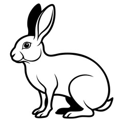 illustration of a bunny