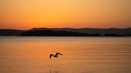 Fototapeta premium Sunset view of sea and mountain silhouettes on horizon, orange sky and flying bird over water in Telascica National Park, Croatia