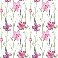 Maiden pink floral pattern. Seamless design created from the maiden pink flowers painted with watercolors. For fabric, wrapping paper, wallpaper, home textile