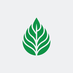 leaf logo vector illustration design