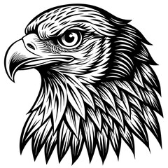 Obraz premium eagle head vector
