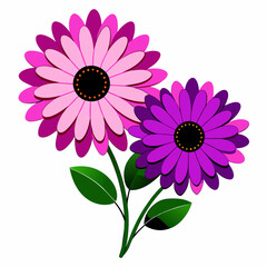 vector pink and purple gerbera daisy illustration