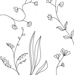 floral branch nature flowers floral thin line draw
