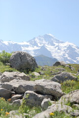 Switzerland landscapes  