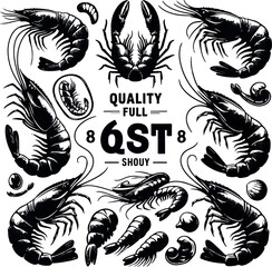 Vector illustration of a shrimp, a member of the Caridea order, depicted in a scratchboard style. This hand-drawn image captures the intricate details of the shrimp's anatomy