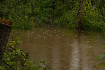 Angestiegender Wasserlauf, mit überschwämmten Ufer