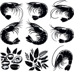 Vector illustration of a shrimp, a member of the Caridea order, depicted in a scratchboard style. This hand-drawn image captures the intricate details of the shrimp's anatomy