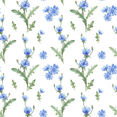 Floral watercolor seamless pattern with blue chicory flowers and green leaves on a white background