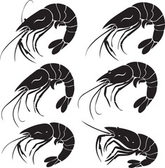 Vector illustration of a shrimp, a member of the Caridea order, depicted in a scratchboard style. This hand-drawn image captures the intricate details of the shrimp's anatomy