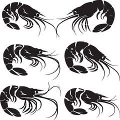 Vector illustration of a shrimp, a member of the Caridea order, depicted in a scratchboard style. This hand-drawn image captures the intricate details of the shrimp's anatomy