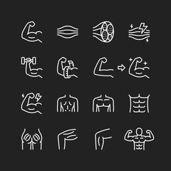 Muscles icon set, white lines on black background. Muscle tissue, structure, different body parts. Strength, bodybuilding, gym training. Customizable line thickness